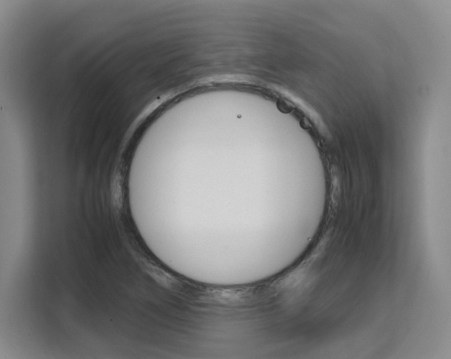 X0000111531266200907141249