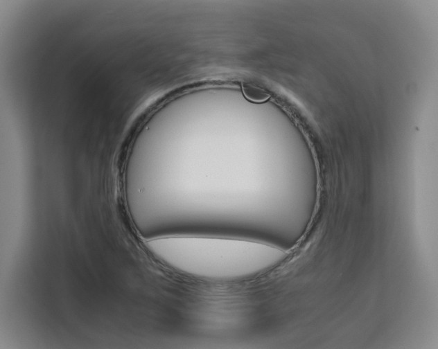 X0000111531267200907141249