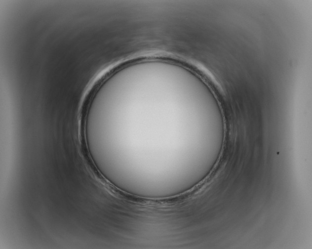 X0000111531270200907141249