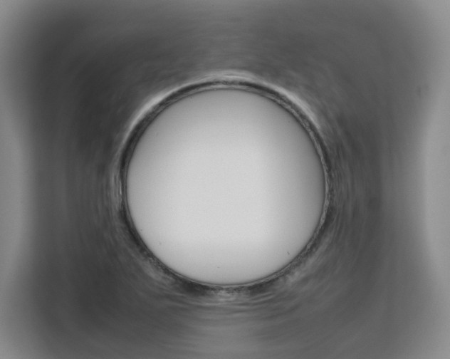 X0000111531271200907141249