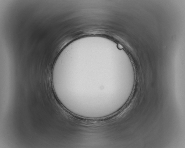 X0000111531273200907141249
