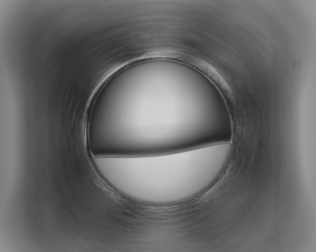 X0000111531276200907141249