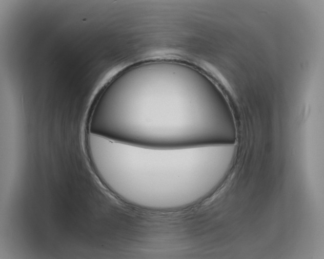 X0000111531277200907141249