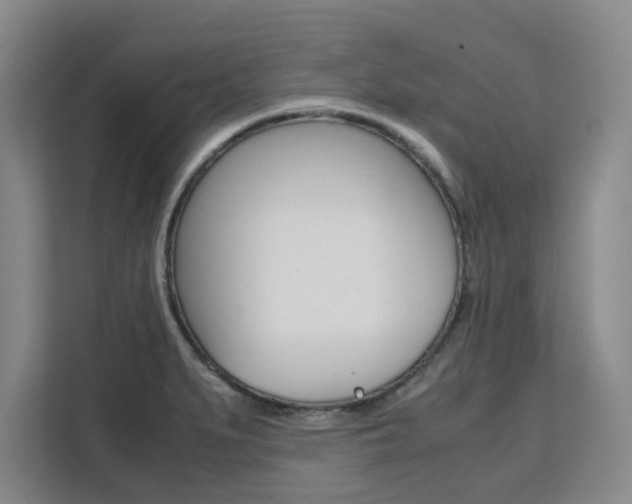 X0000111531279200907141249
