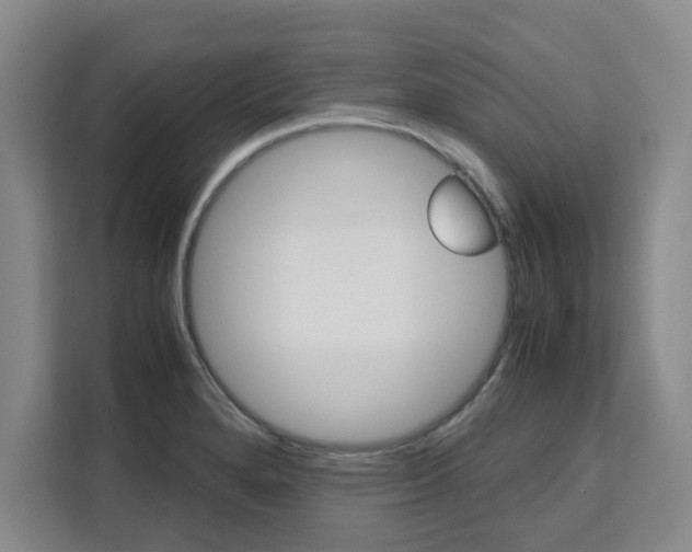 X0000111531280200907141249