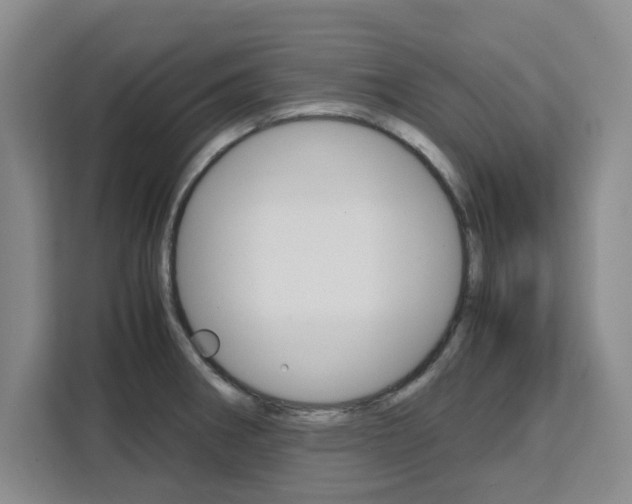 X0000111531282200907141249