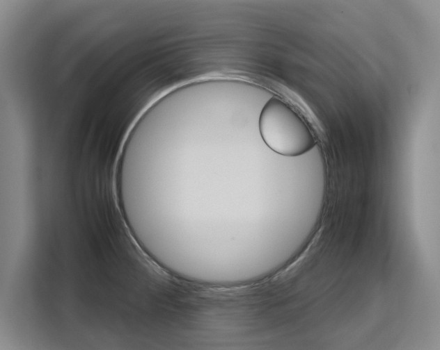 X0000111531284200907141249