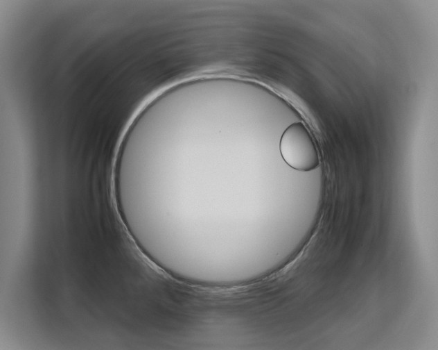 X0000111531288200907141249
