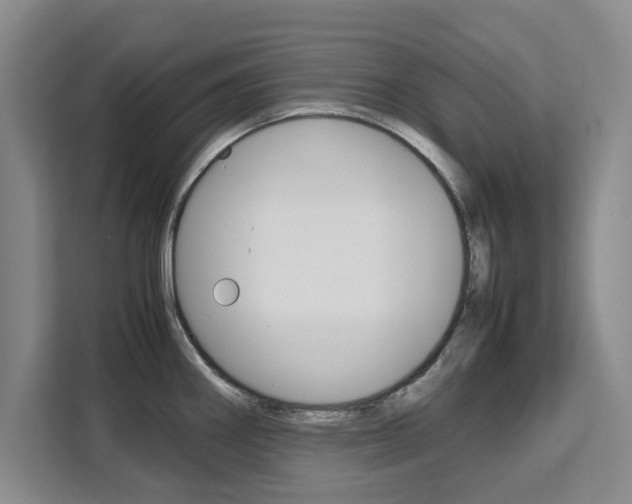 X0000111531290200907141249