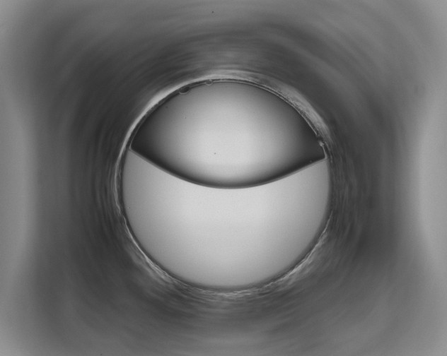 X0000111531292200907141249