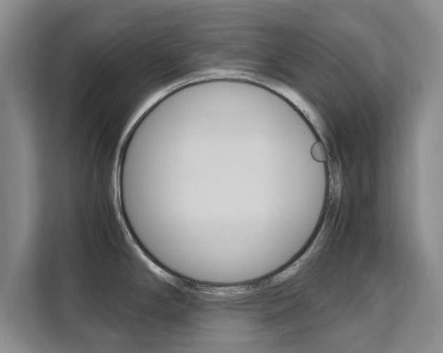 X0000111531294200907141249