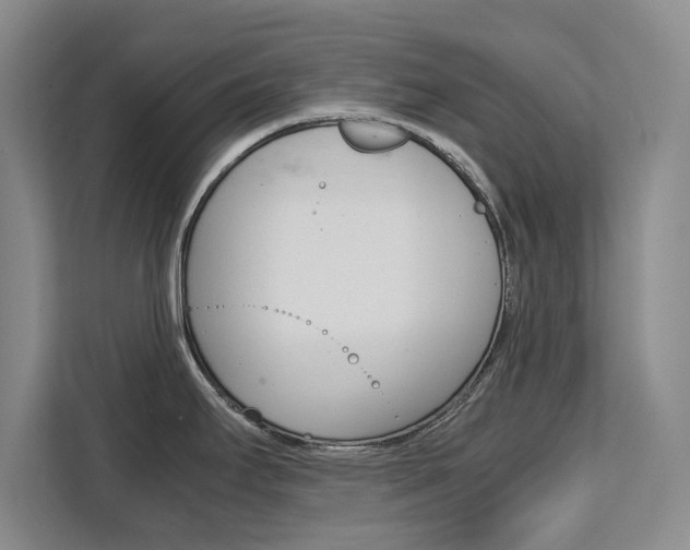 X0000111531295200907141249