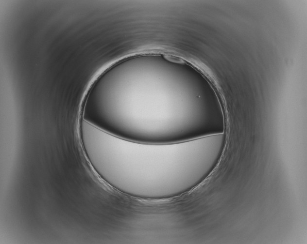 X0000111531296200907141249
