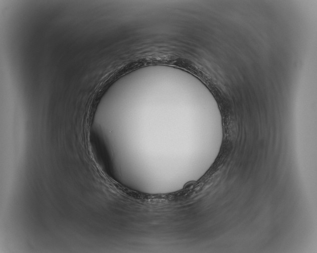 X0000111531297200907141248