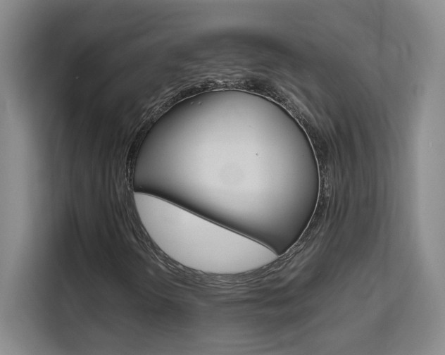 X0000111531298200907141248