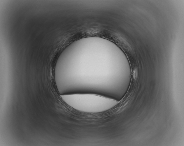 X0000111531299200907141248