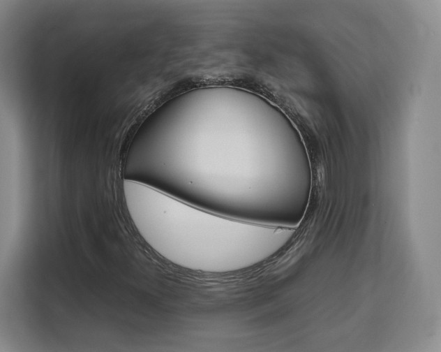 X0000111531300200907141248