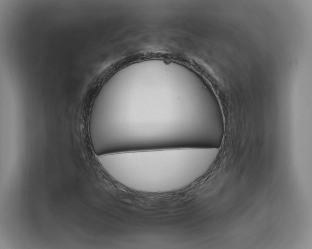 X0000111531303200907141248
