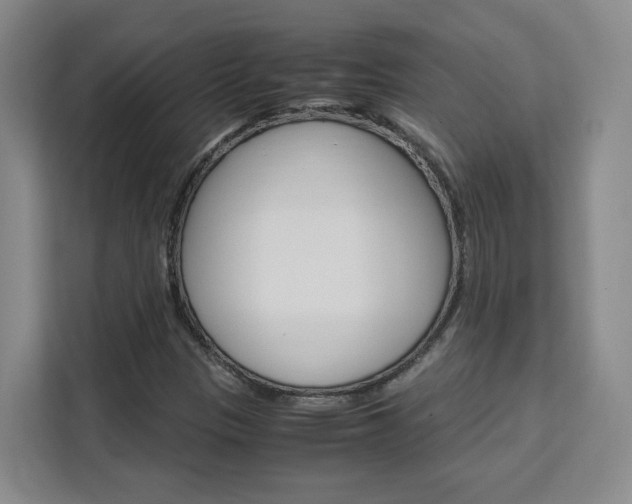 X0000111531305200907141248