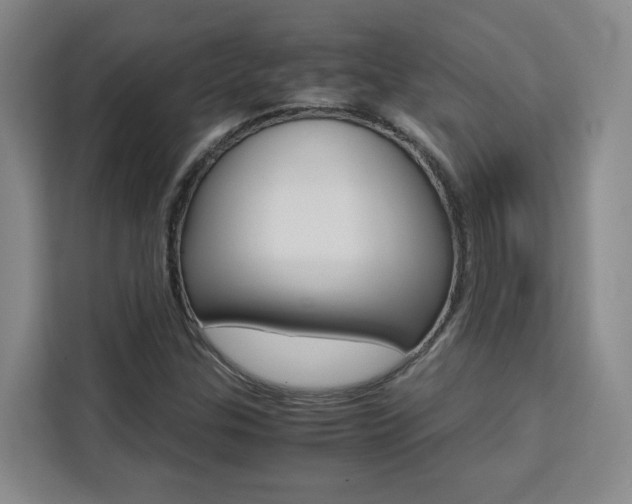 X0000111531307200907141248