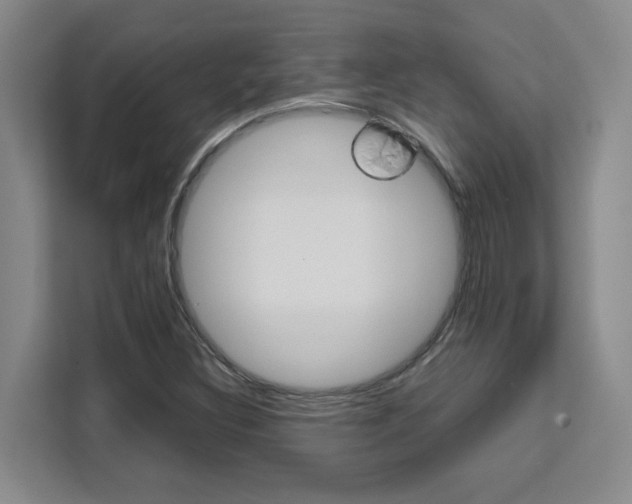 X0000111531308200907141248
