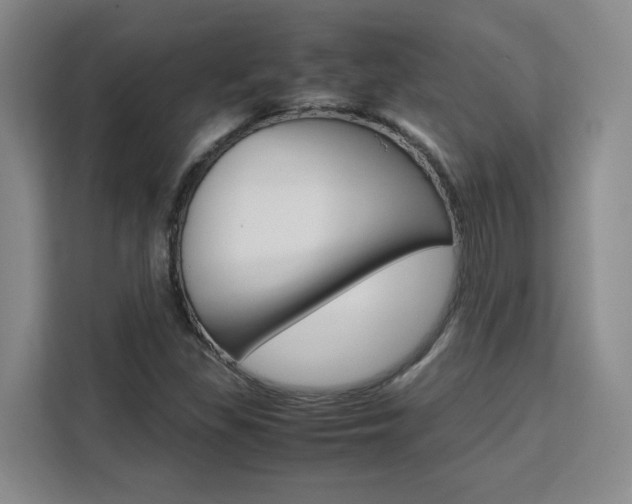 X0000111531309200907141248
