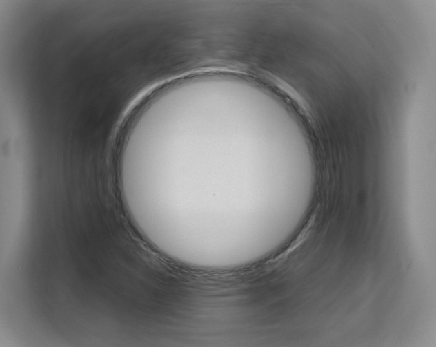 X0000111531310200907141248