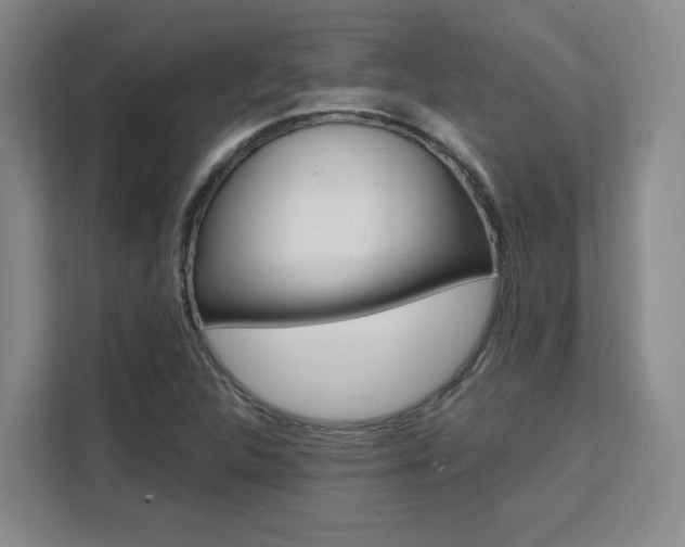 X0000111531312200907141248