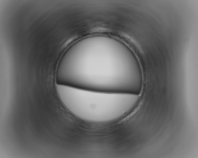 X0000111531313200907141248