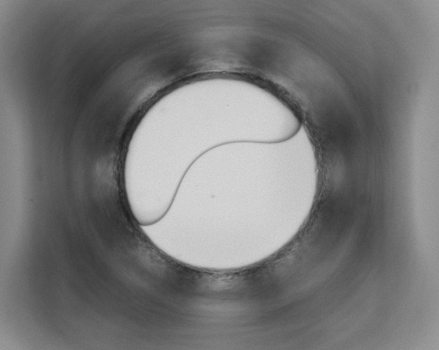 X0000111531314200907141248