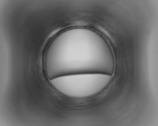 X0000111531315200907141248