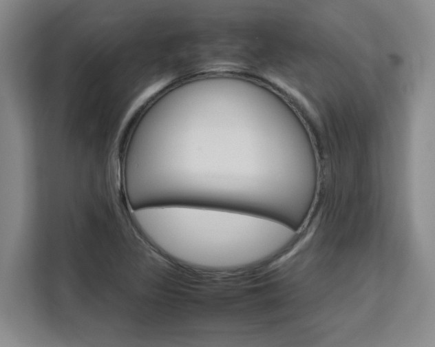 X0000111531317200907141248