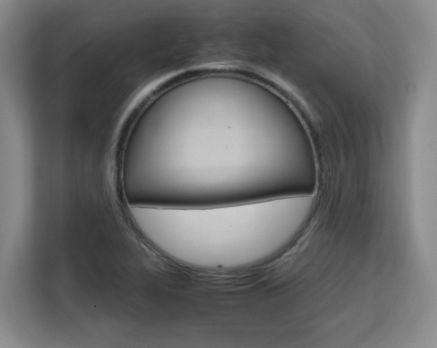 X0000111531319200907141248