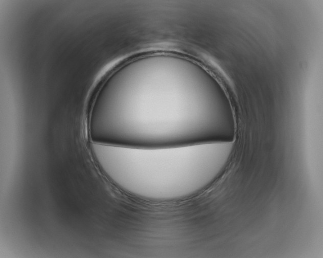 X0000111531320200907141248