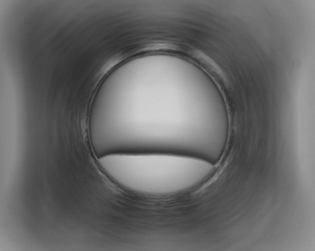 X0000111531321200907141248