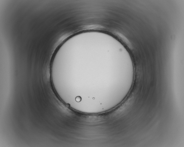 X0000111531322200907141248