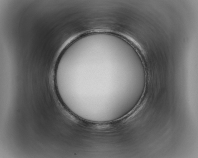 X0000111531325200907141248