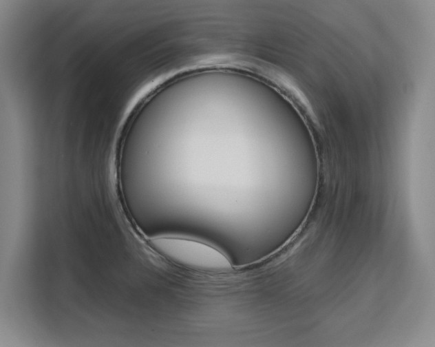 X0000111531328200907141248