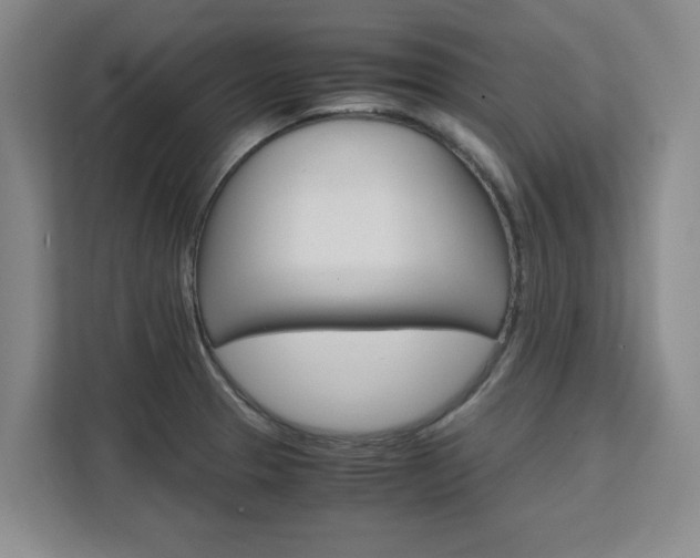 X0000111531329200907141248