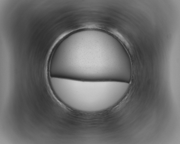 X0000111531331200907141249