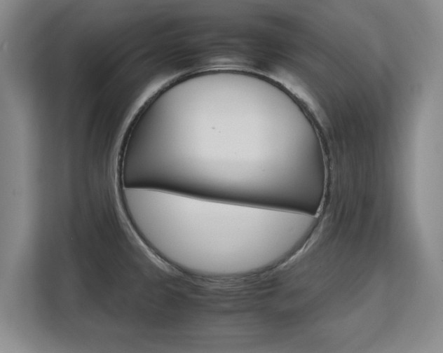 X0000111531333200907141249