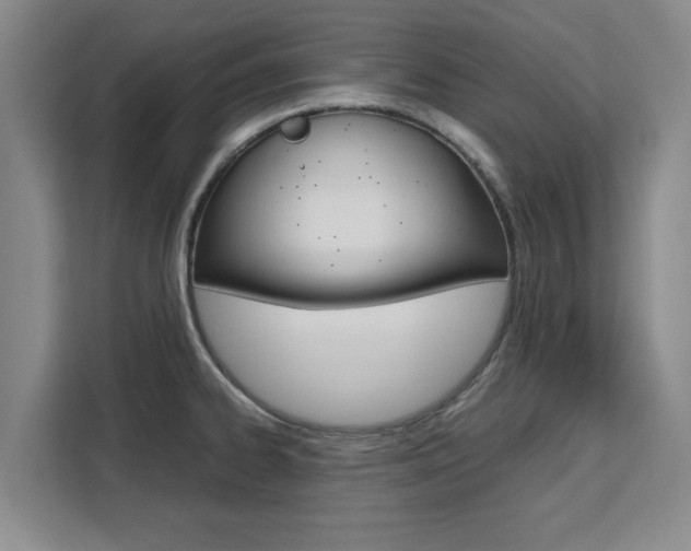 X0000111531334200907141249