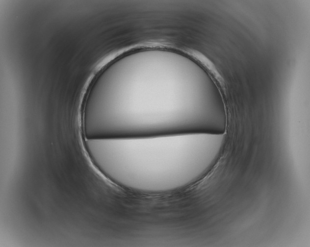 X0000111531335200907141249