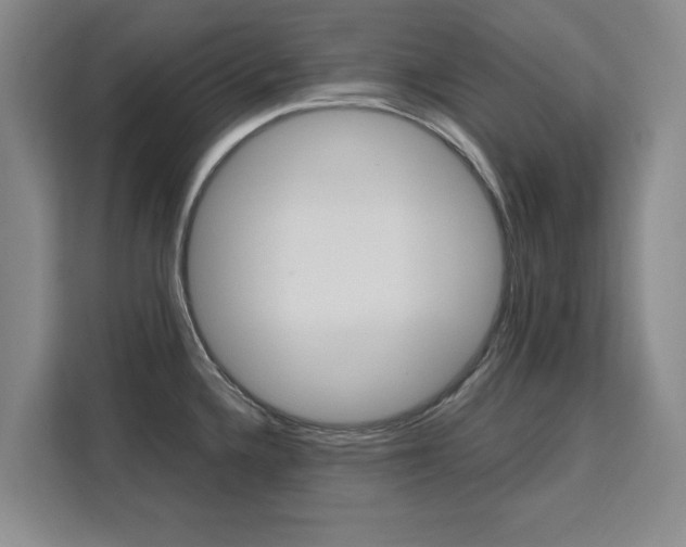 X0000111531336200907141249