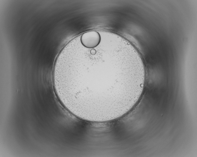 X0000111531338200907141249