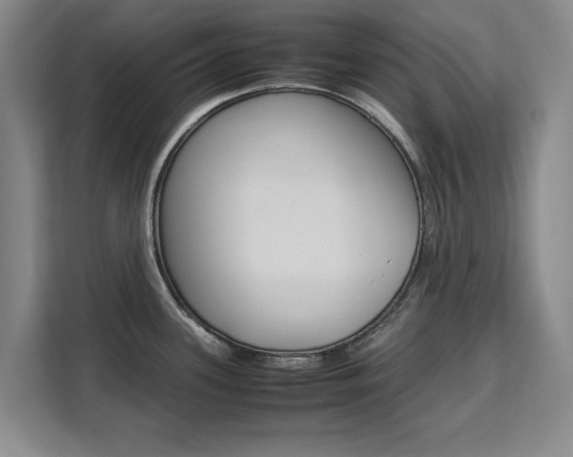 X0000111531339200907141249