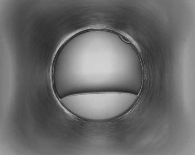 X0000111531343200907141249