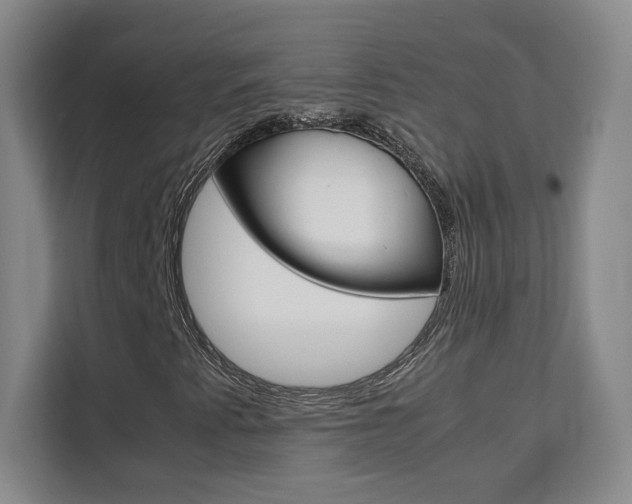 X0000111531345200907141248
