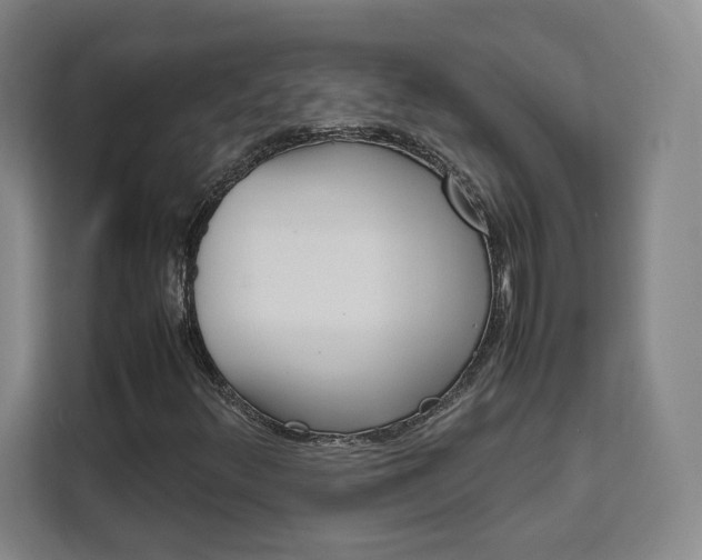 X0000111531348200907141248