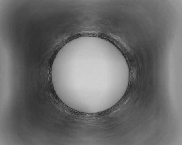 X0000111531350200907141248